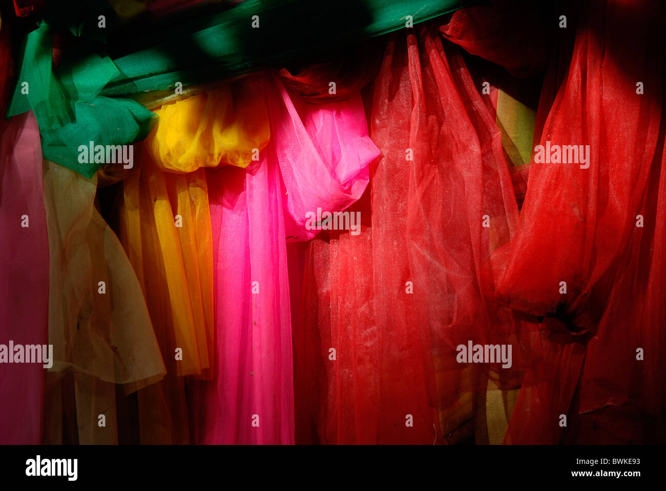 Asia nastri Aswattha Bangkok Banglamphu Banglampoo tree Bobaum Bodhi Bodhibaum Budda Budda tree famiglia f Foto Stock