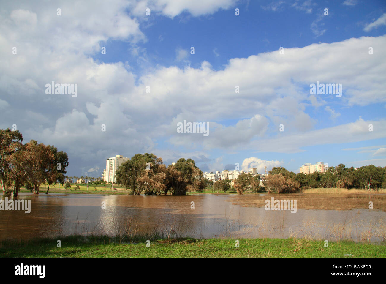 Israele, regione di Sharon, la pioggia in piscina a Netanya Foto Stock