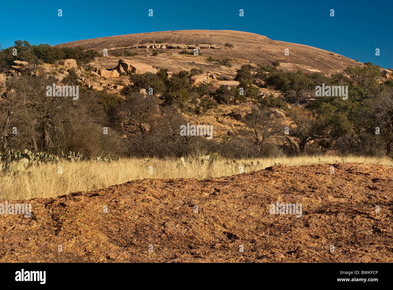 Cupola in roccia incantata Stato Area naturale, in Collina Paese vicino Fredericksburg, Texas, Stati Uniti d'America Foto Stock