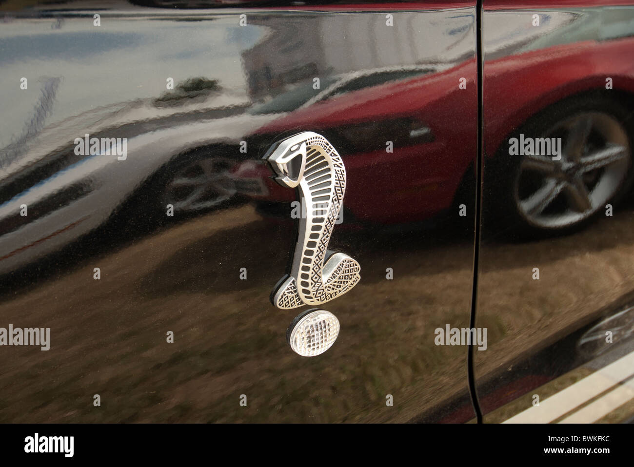 La Shelby Mustang simbolo Foto Stock