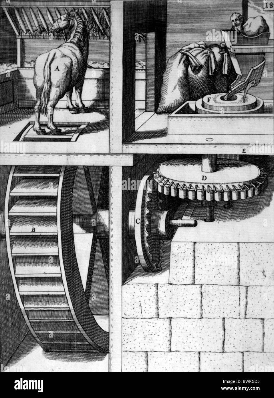 Illustrazione da Theatrum Machinarum Novum 1661 di Georg Andreas Böckler; un cavallo powered macchina fresatrice; Foto Stock