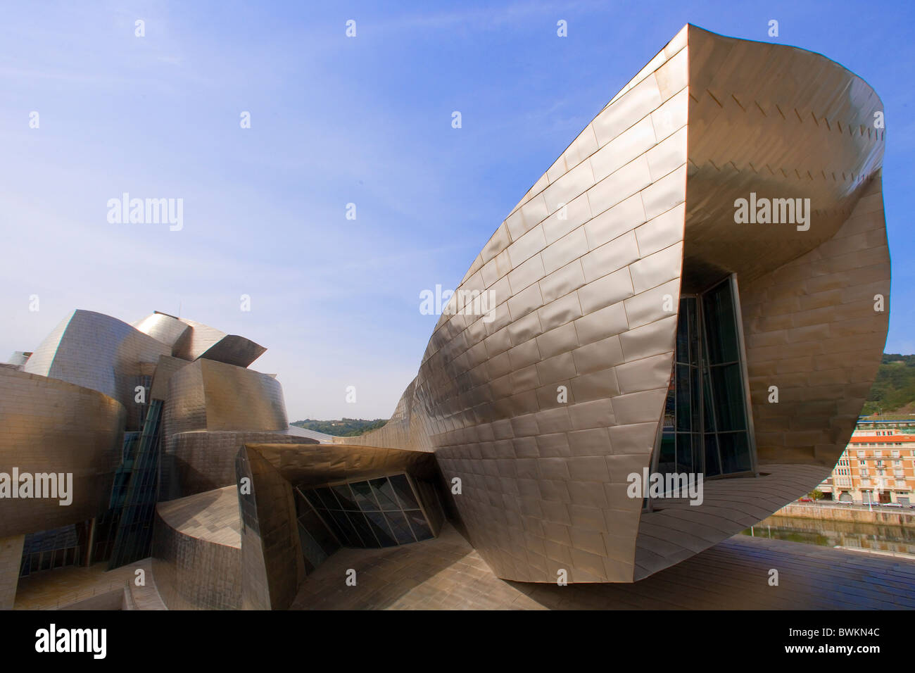 Spagna europa Province Basche Bilbao Guggenheim Museum il museo di arte formatore di architettura di Frank Gehry abilità tecnica Foto Stock