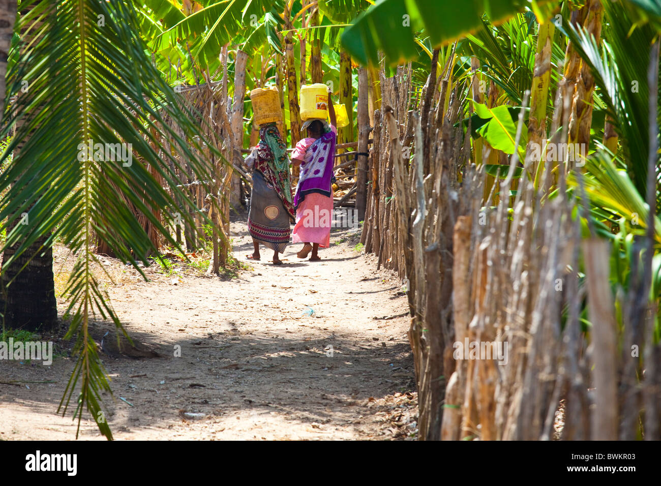 Le donne che trasportano acqua, Pate isola di Lamu Isola, Kenya Foto Stock