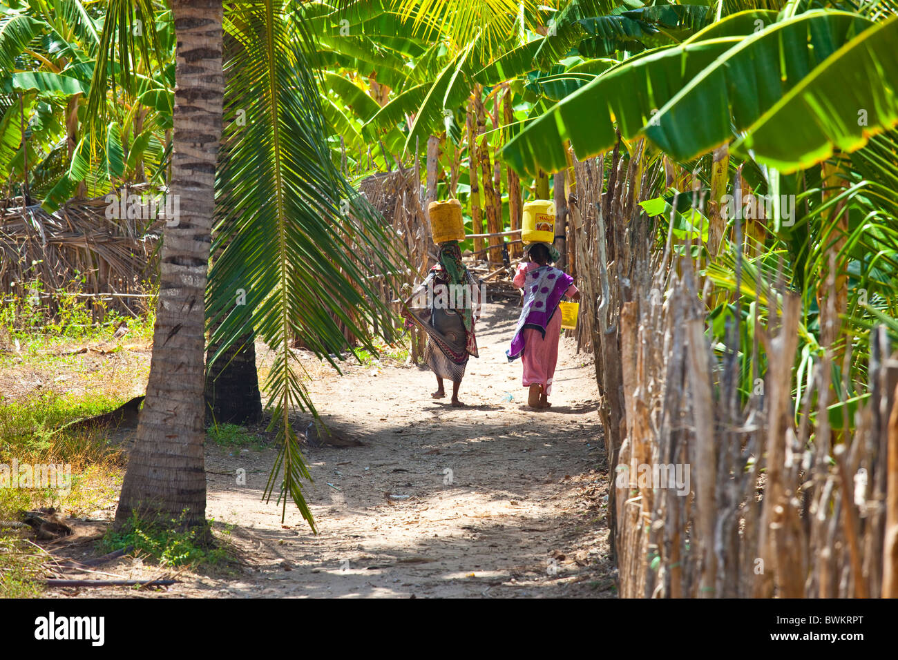 Le donne che trasportano acqua, Pate isola di Lamu Isola, Kenya Foto Stock