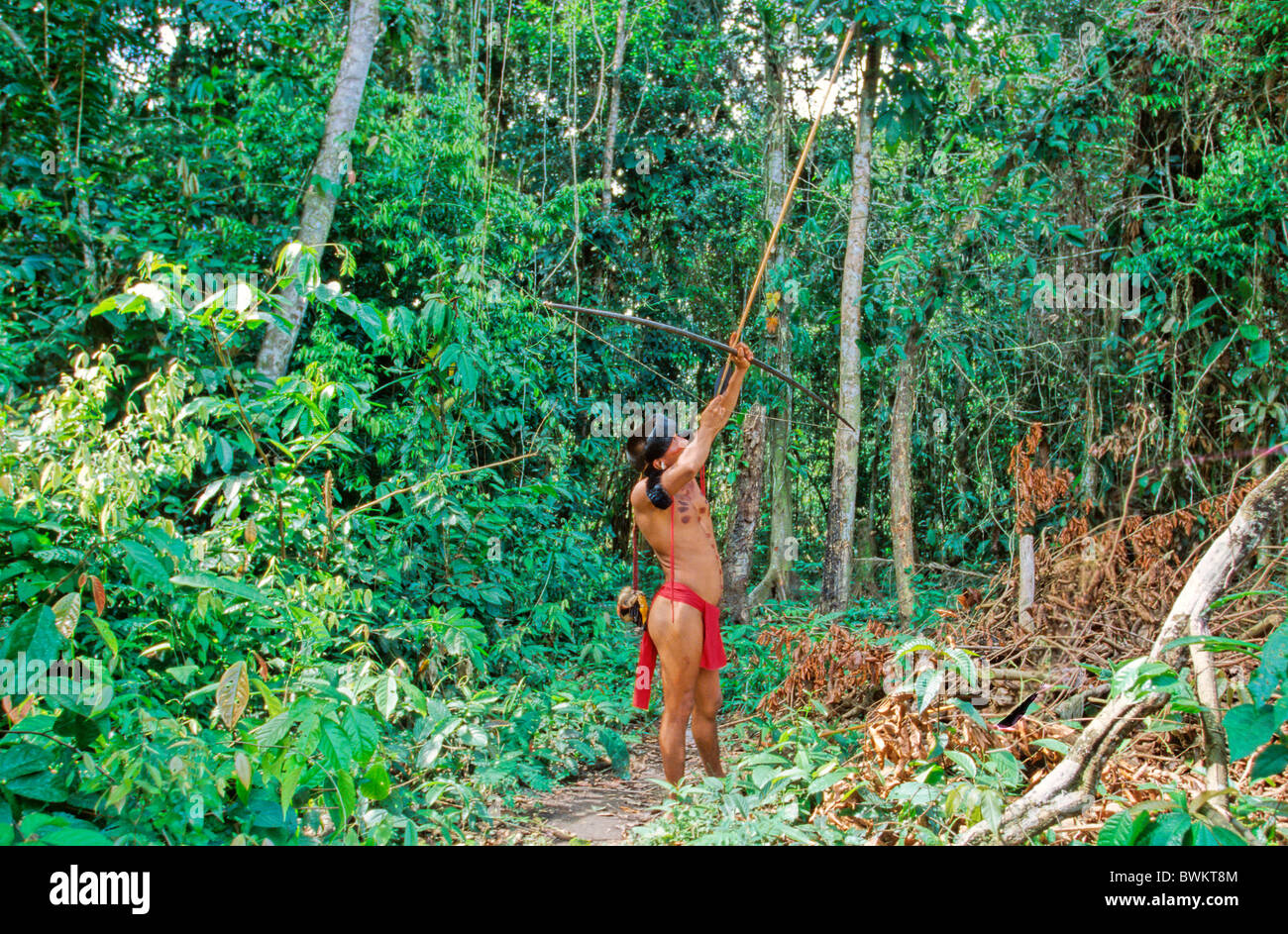 Venezuela sud America Yanomami Ironavi trib Indios Hunter Freccia di prua uomini uomo arcieri Archer caccia Hun Foto Stock