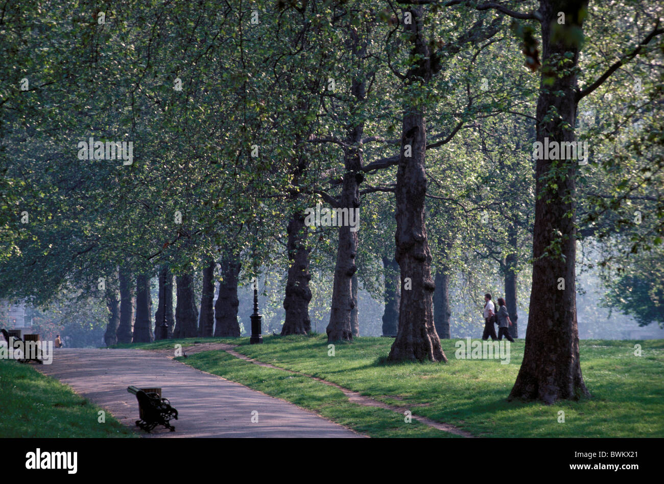 Regno Unito Londra viale alberato del parco verde di Gran Bretagna Europa England people prato panche gardens Foto Stock
