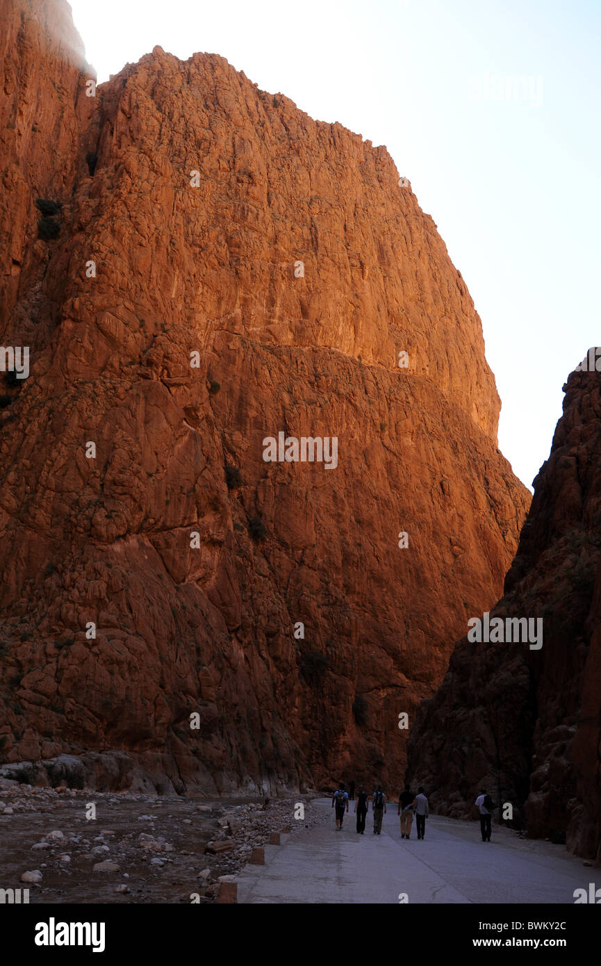 Le gigantesche pareti di roccia del Todra Gorge vicino a Tinerhir nel sud del Marocco. Foto Stock