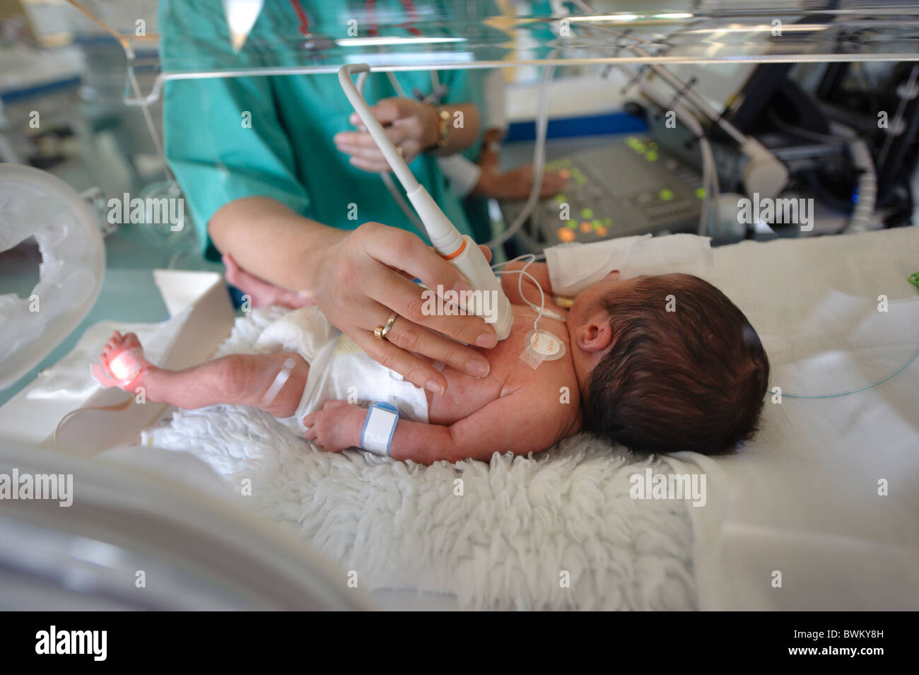 Il medico esegue una sonografia su un neonato prematuro in un incubatore Foto Stock