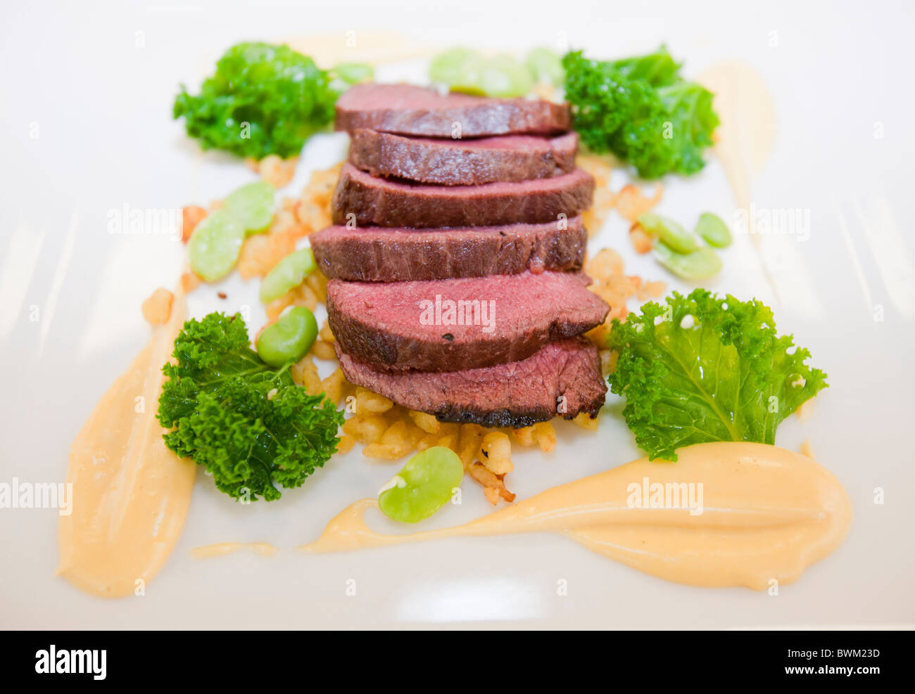 Un piatto preparato da studenti di catering da Kendal College, Cumbria, Regno Unito, utilizzando carne di cervo selvatico Foto Stock