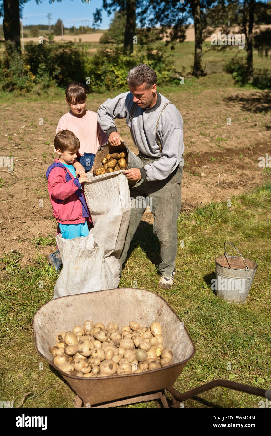 Raccolto di patate coltivatore outdoor all'aperto tre persone uomo bambini kids agricoltura agricoltura raccolto di patate Foto Stock