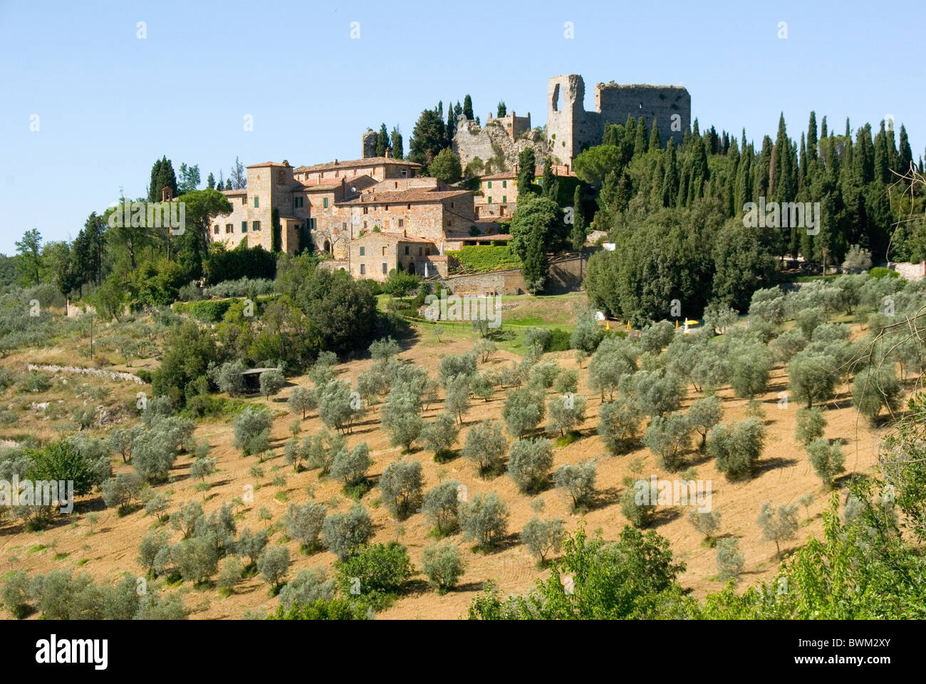 Montelifre nei pressi di Montisi in Creta senese, Toscana Foto Stock