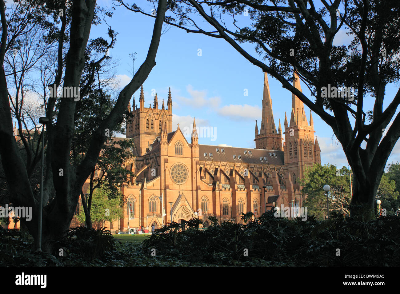 La Cattedrale di St Mary College Street, Sydney, Nuovo Galles del Sud, NSW, Australia, Oceania Foto Stock