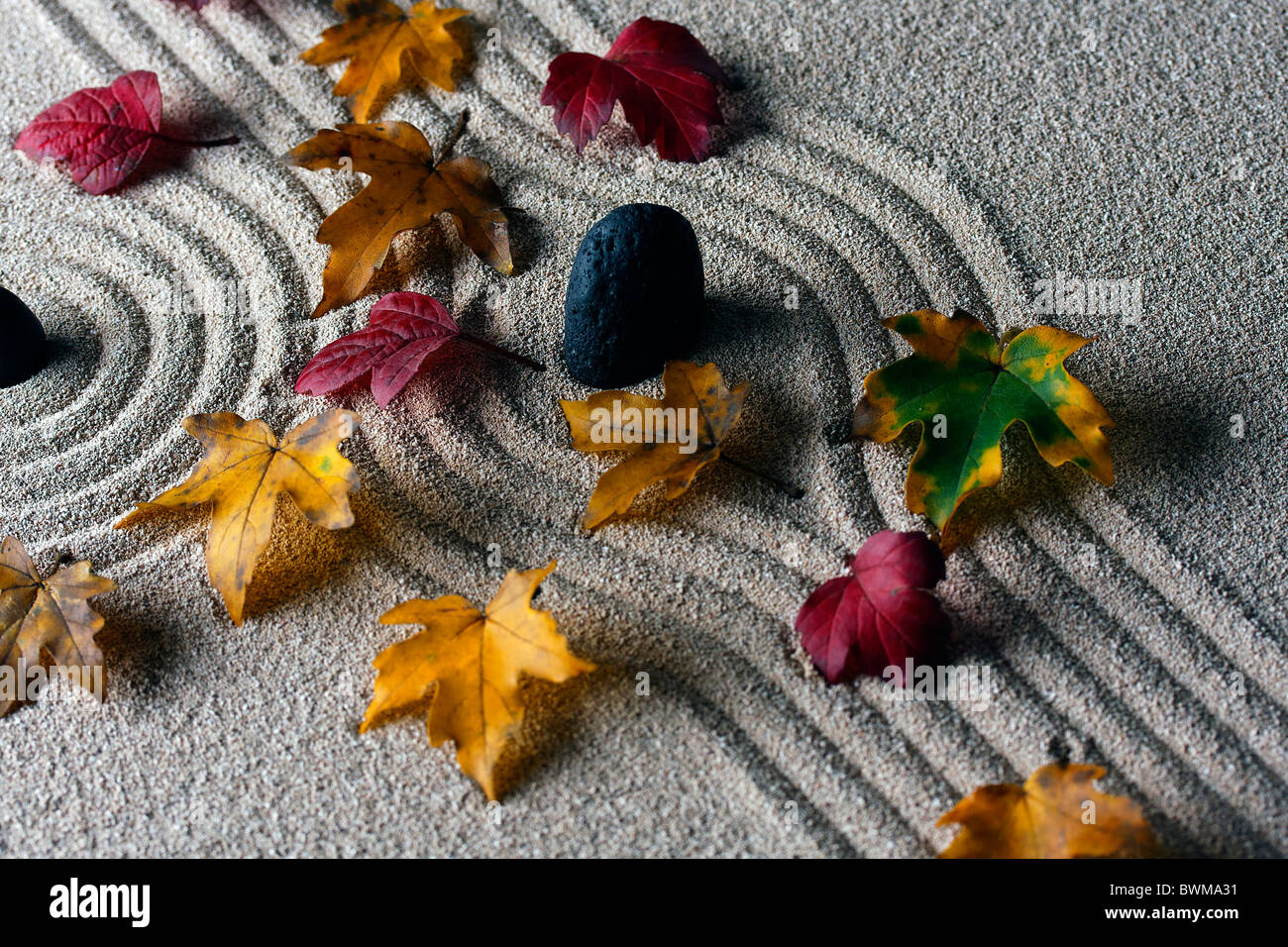 Rastrellata sabbia - zen rock garden - Giappone Zen spirito ispirato disposizione Foto Stock