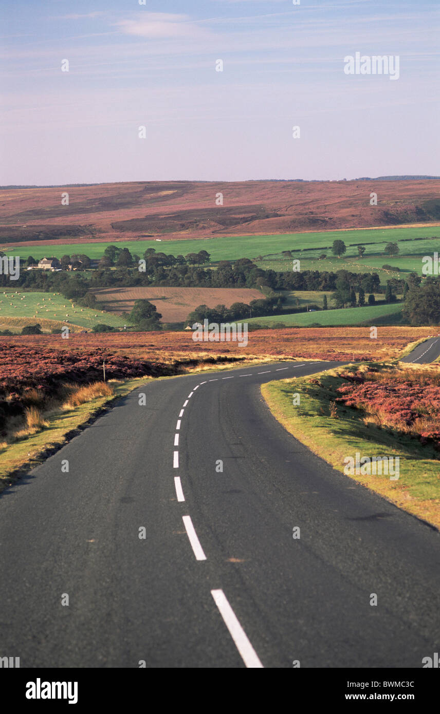 Regno Unito Inghilterra Europa Yorkshire North Yorkshire Moors National Park PARCO NAZIONALE s Paesaggi strada R Foto Stock