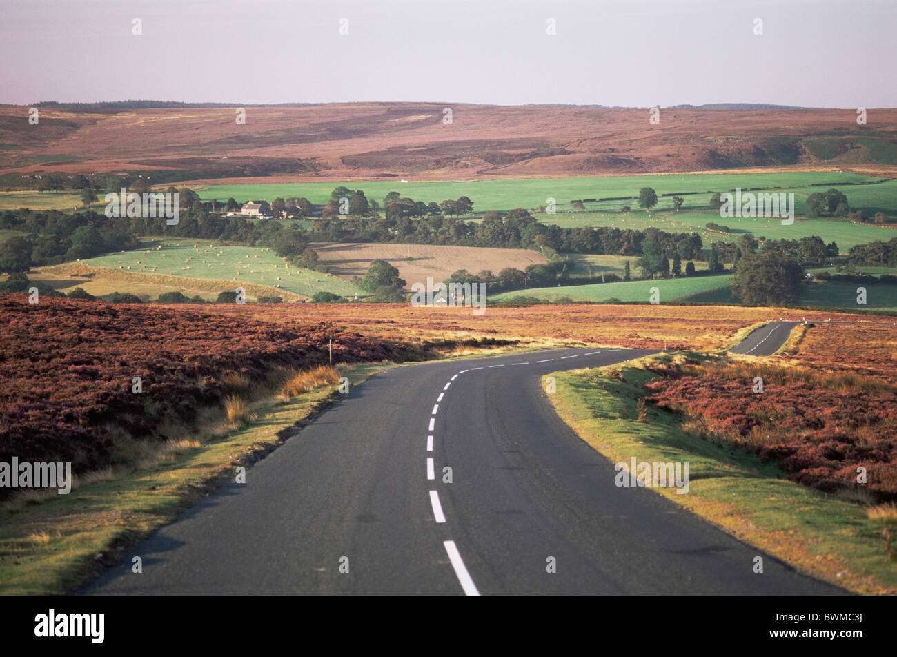 Regno Unito Inghilterra Europa Yorkshire North Yorkshire Moors National Park PARCO NAZIONALE s Paesaggi strada R Foto Stock