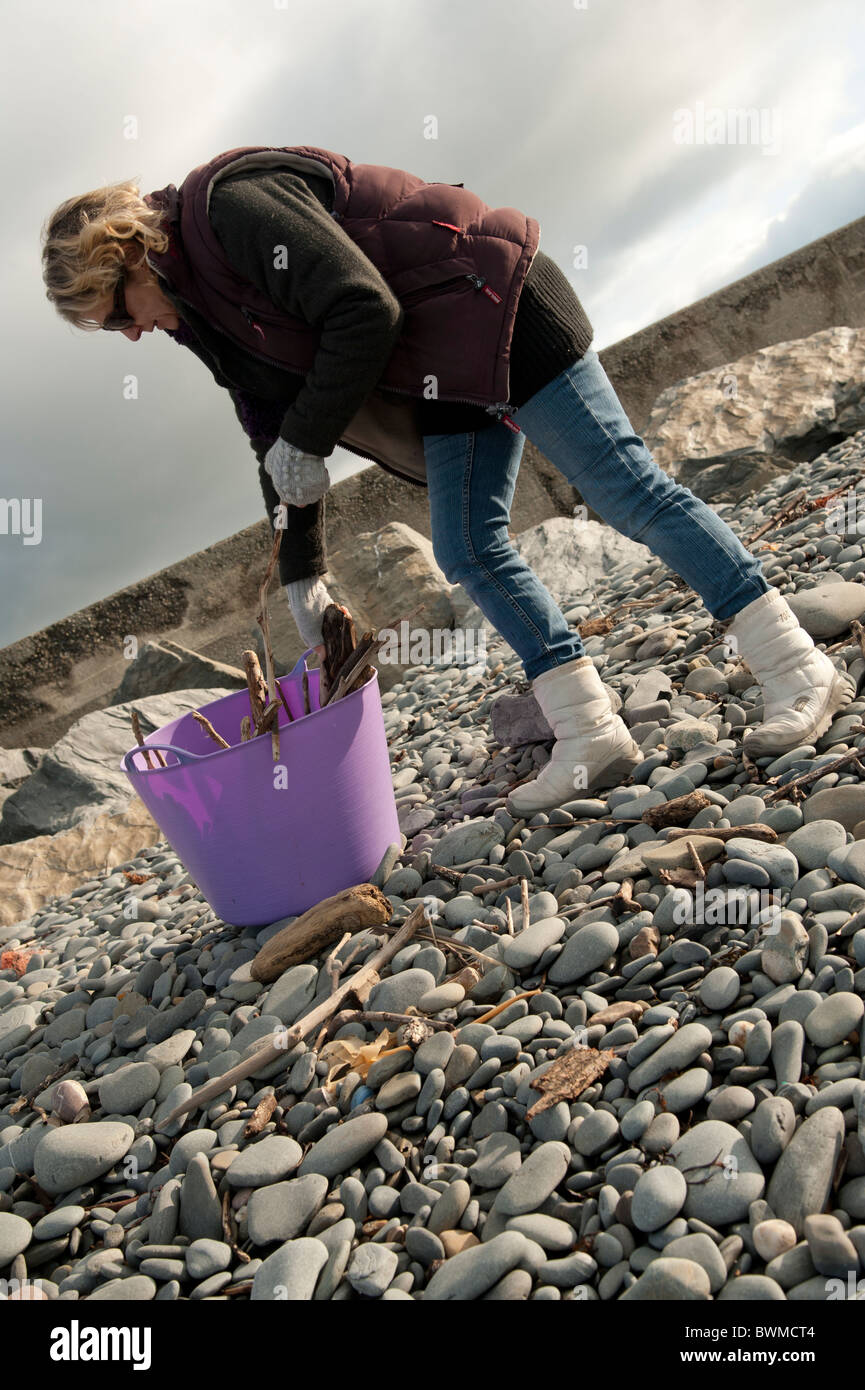 Una donna raccolta driftwood off una spiaggia per bruciare nel fuoco di lei a casa, west wales UK Foto Stock