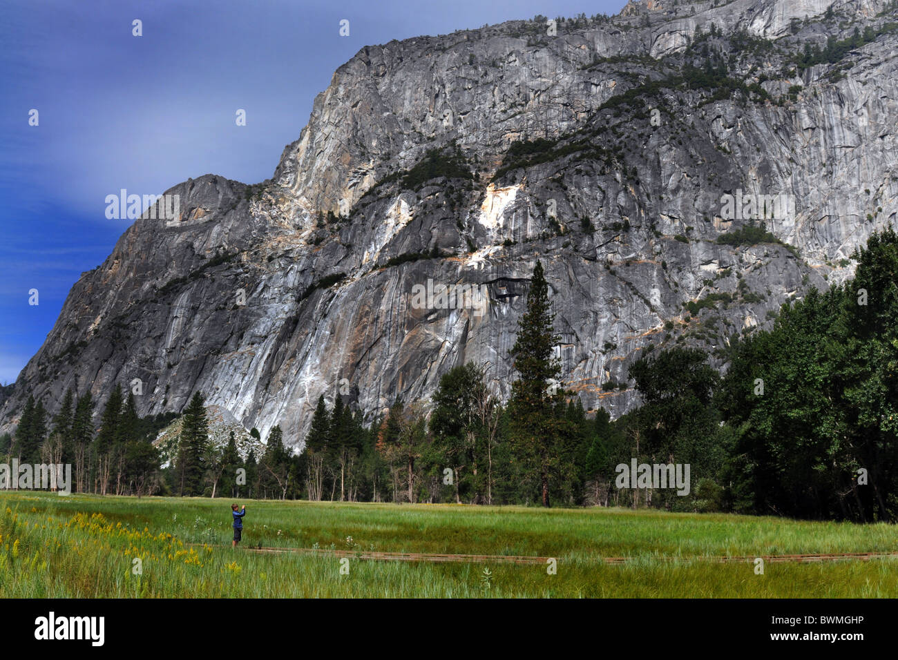 Il parco nazionale di Yosemite Valley, un prato estivo e la mezza cupola Foto Stock