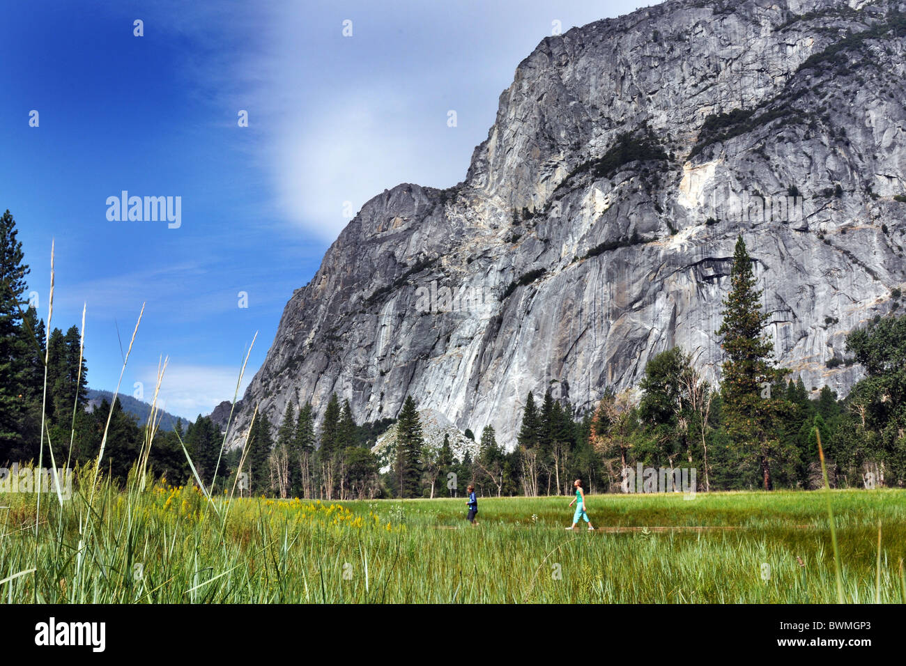 Il parco nazionale di Yosemite Valley, un prato estivo e la mezza cupola Foto Stock