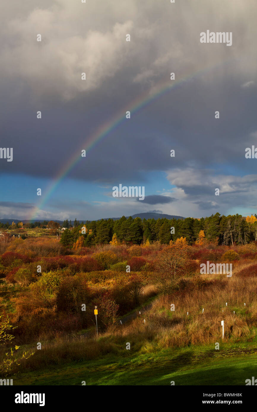 Rainbow su Rithets Bog, protetto da una zona di conservazione e torbiera in Victoria, British Columbia, Canada Foto Stock