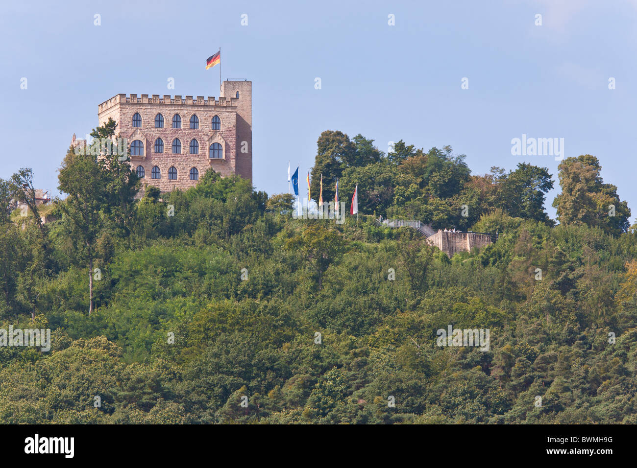 HAMBACH CASTLE, vicino a NEUSTADT AN DER WEINSTRASSE, Itinerario dei vini tedeschi, Pfalz, RENANIA-PALATINATO, Germania Foto Stock