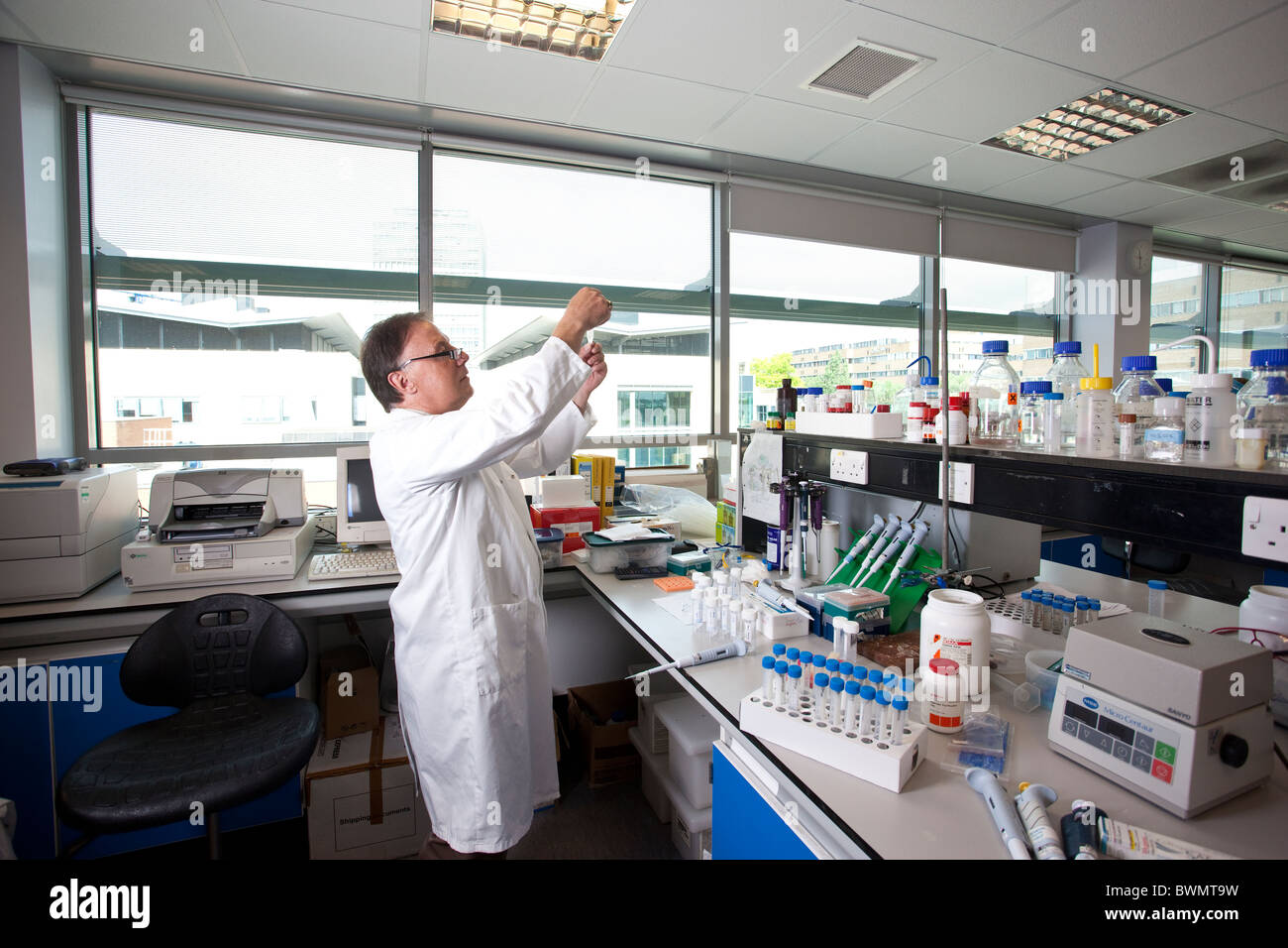 Laboratorio Scientifico campione capsule contenenti un parassita Hookworm presso l' Università di Nottingham. Foto:Jeff Gilbert Foto Stock