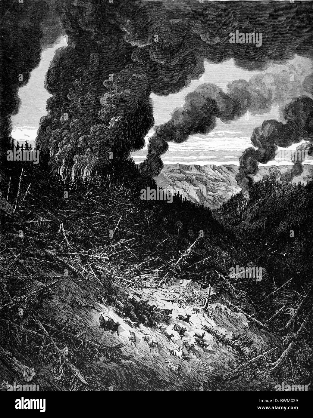 Gustave Doré; il fuoco nella foresta da Chactas e Atala, una novella da François-René de Chateaubriand Foto Stock