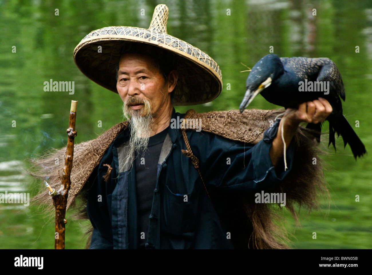 Cormorano pescatore, Yangshuo, Guangxi, Cina Foto Stock