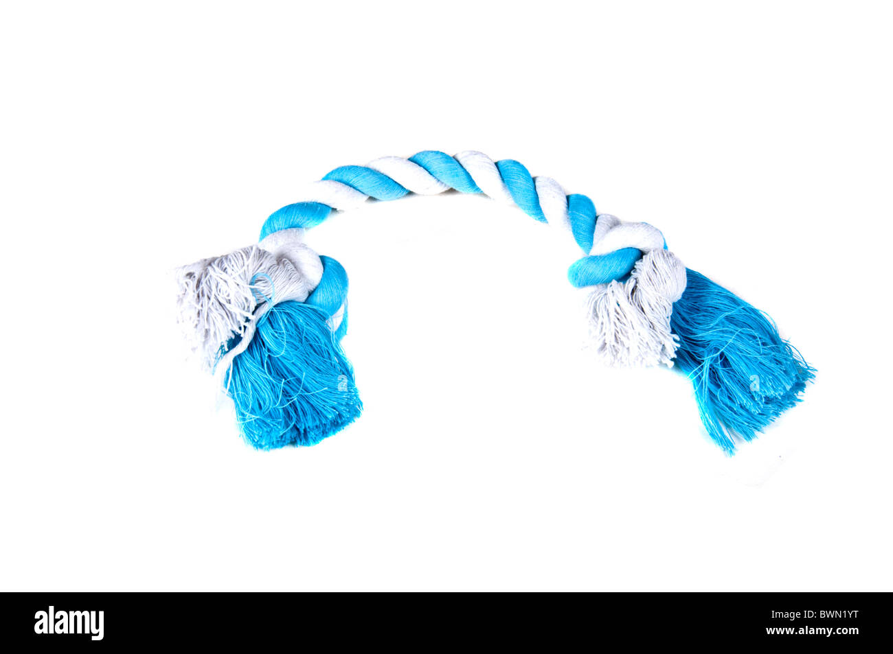 Bianco e blu corda masticare Giocattolo per cani e cuccioli, isolato su sfondo bianco Foto Stock