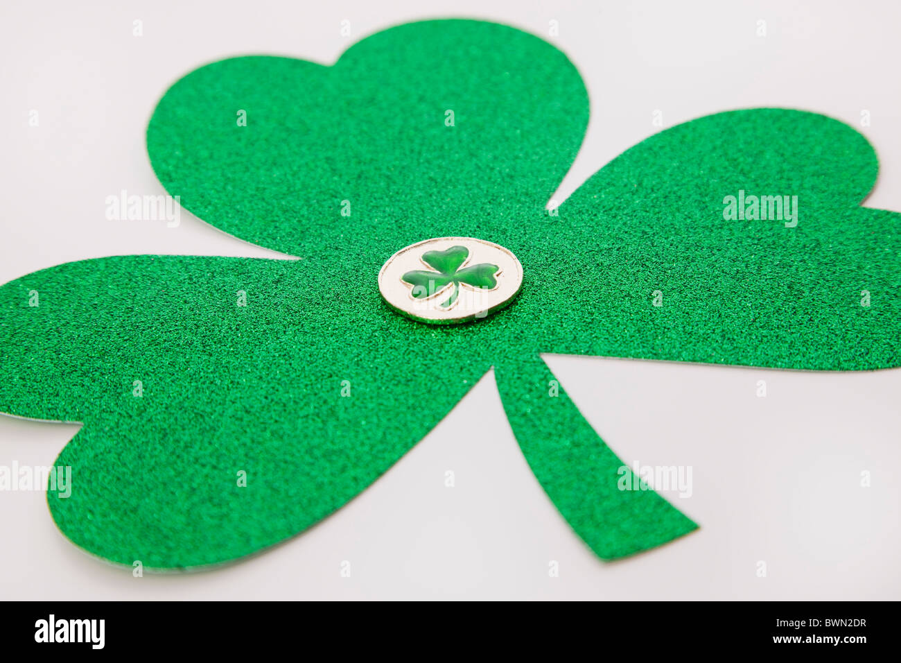 Shamrock verdi su sfondo bianco Foto Stock