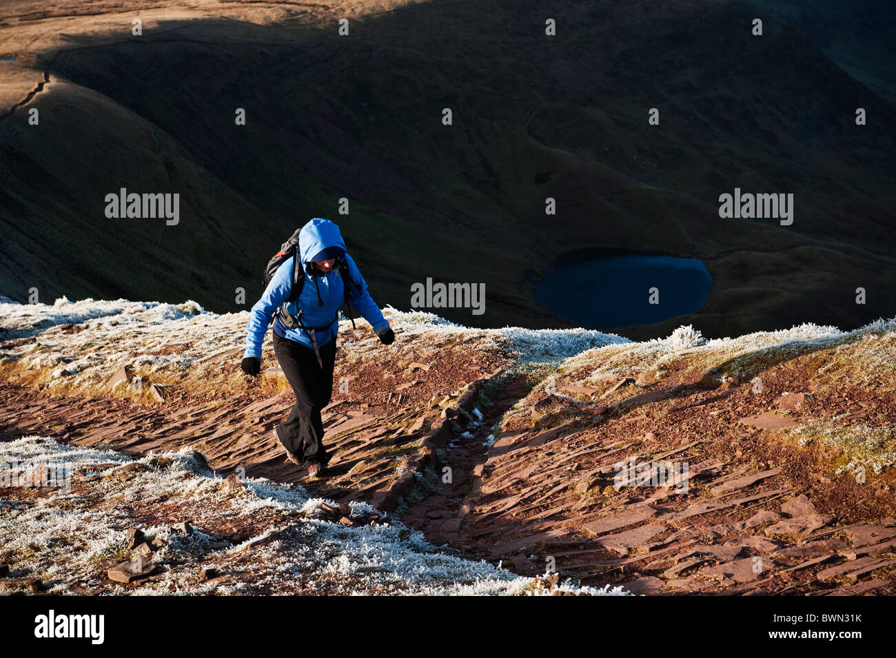 Escursionista femmina escursionismo a Brecon Beacons modo percorso verso il mais Du, Parco Nazionale di Brecon Beacons, Galles Foto Stock