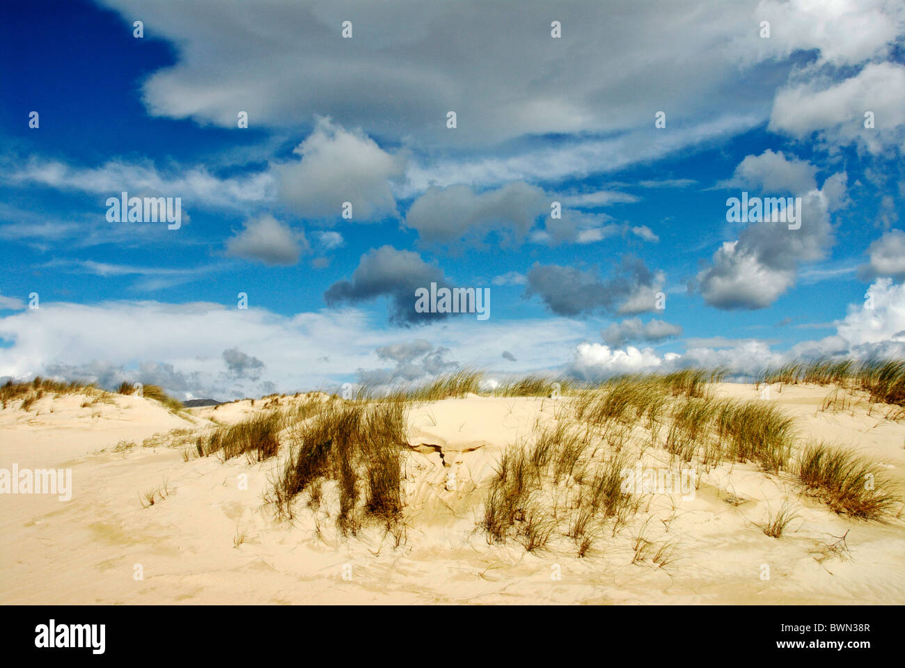 Spagna europa Dunas de Corrubedo Galizia dune di sabbia finissima sabbia natura naturale riserva naturale estate area ecologica Foto Stock