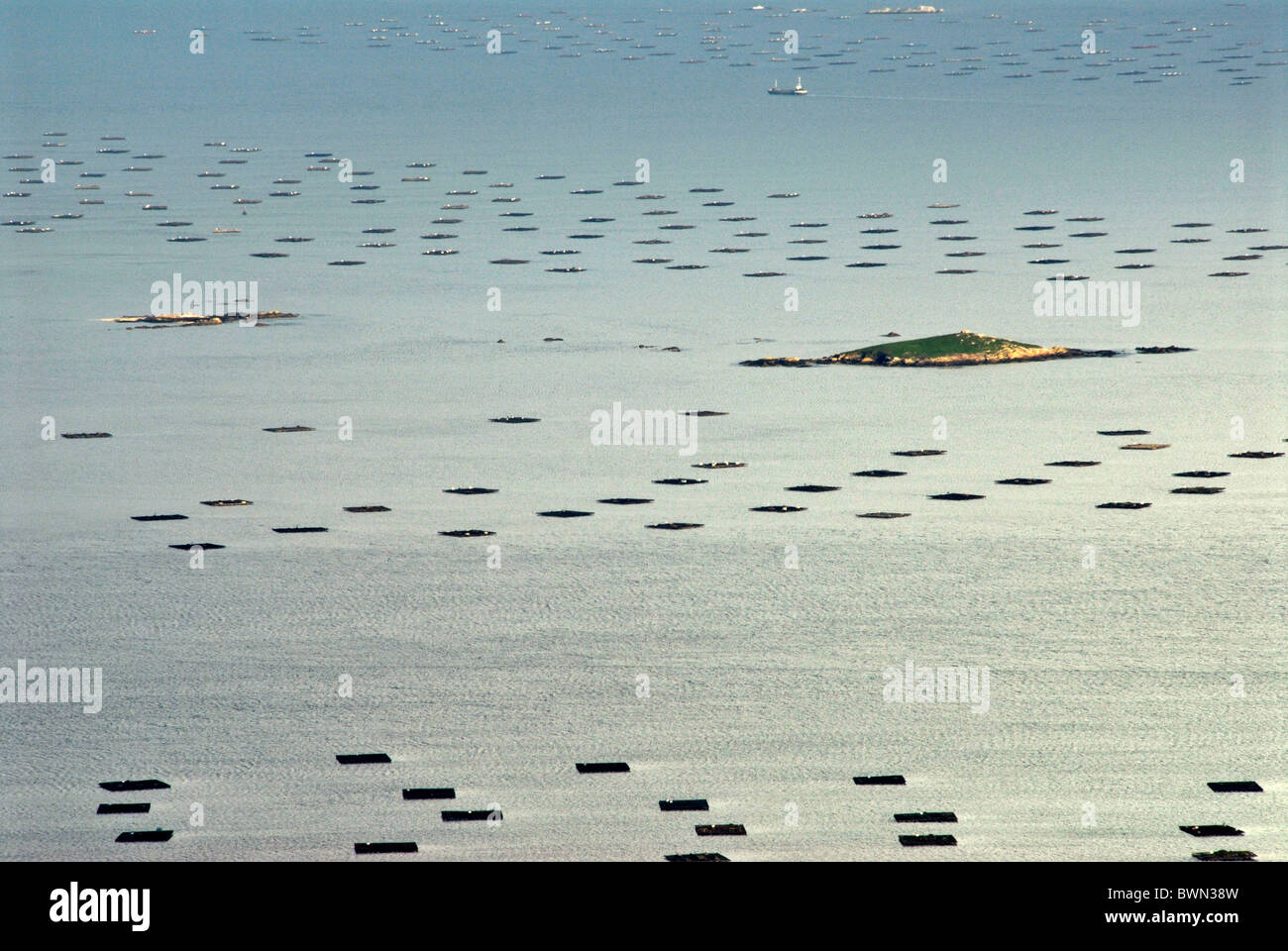 Spagna Europa Galizia Ria fjord acqua mare cozze razza allevamento pesca industria della pesca delle vongole Foto Stock