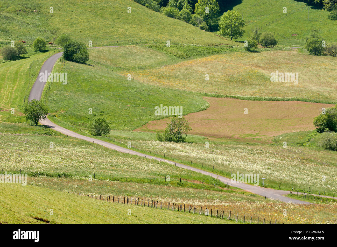 Paesaggio di montagna e di allevamento collinare, Auvergne, Francia Foto Stock