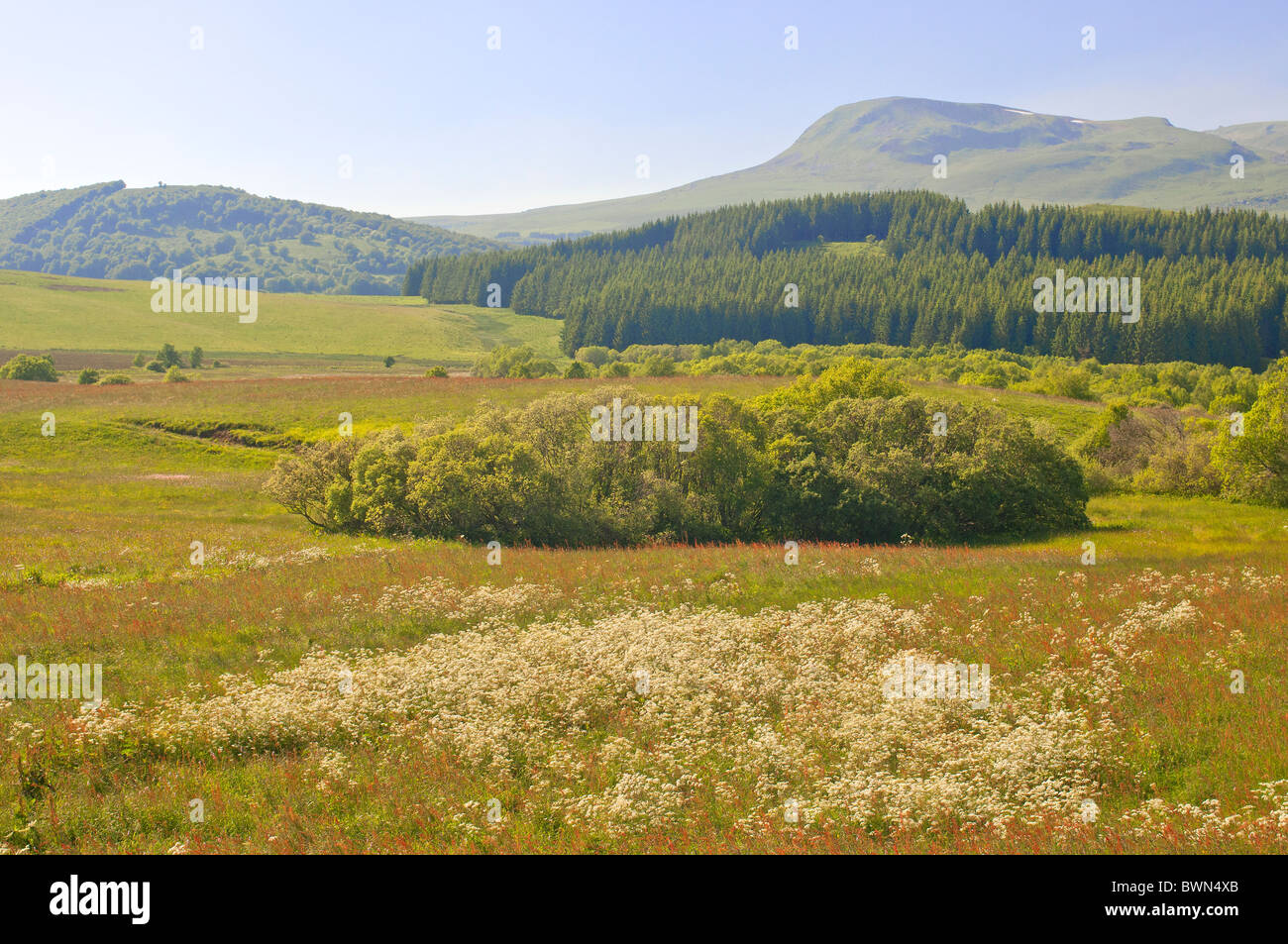 Paesaggio di montagna con alpeggio estivo in Sancy mountain range, Auvergne, Francia Foto Stock