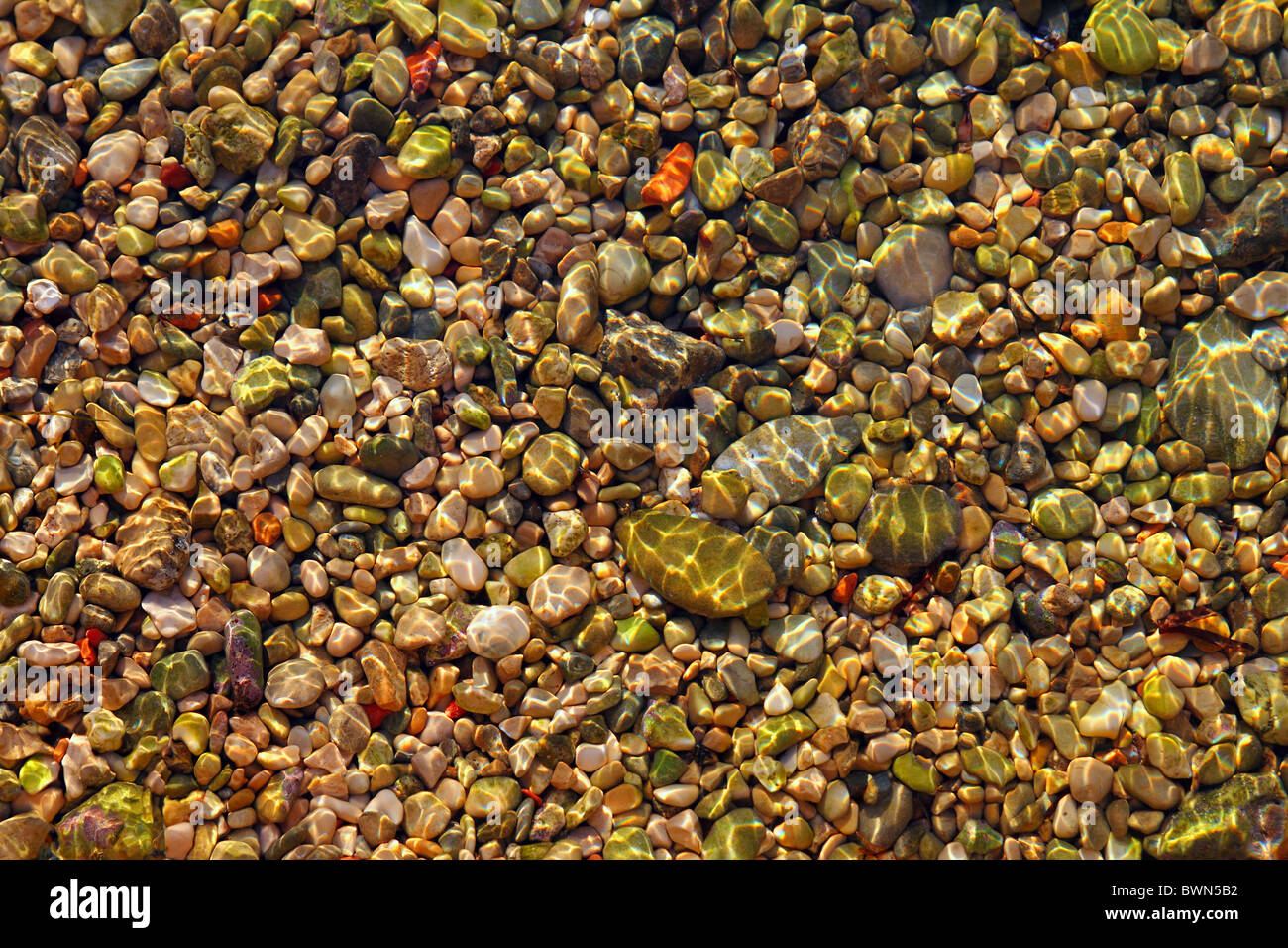 Colorato rolling stones mare modello di fondo muschio alghe marine Foto Stock