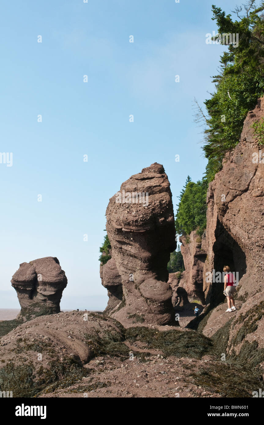 New Brunswick, Canada. Hopewell rocce e l'oceano di marea Sito di esplorazione. Foto Stock