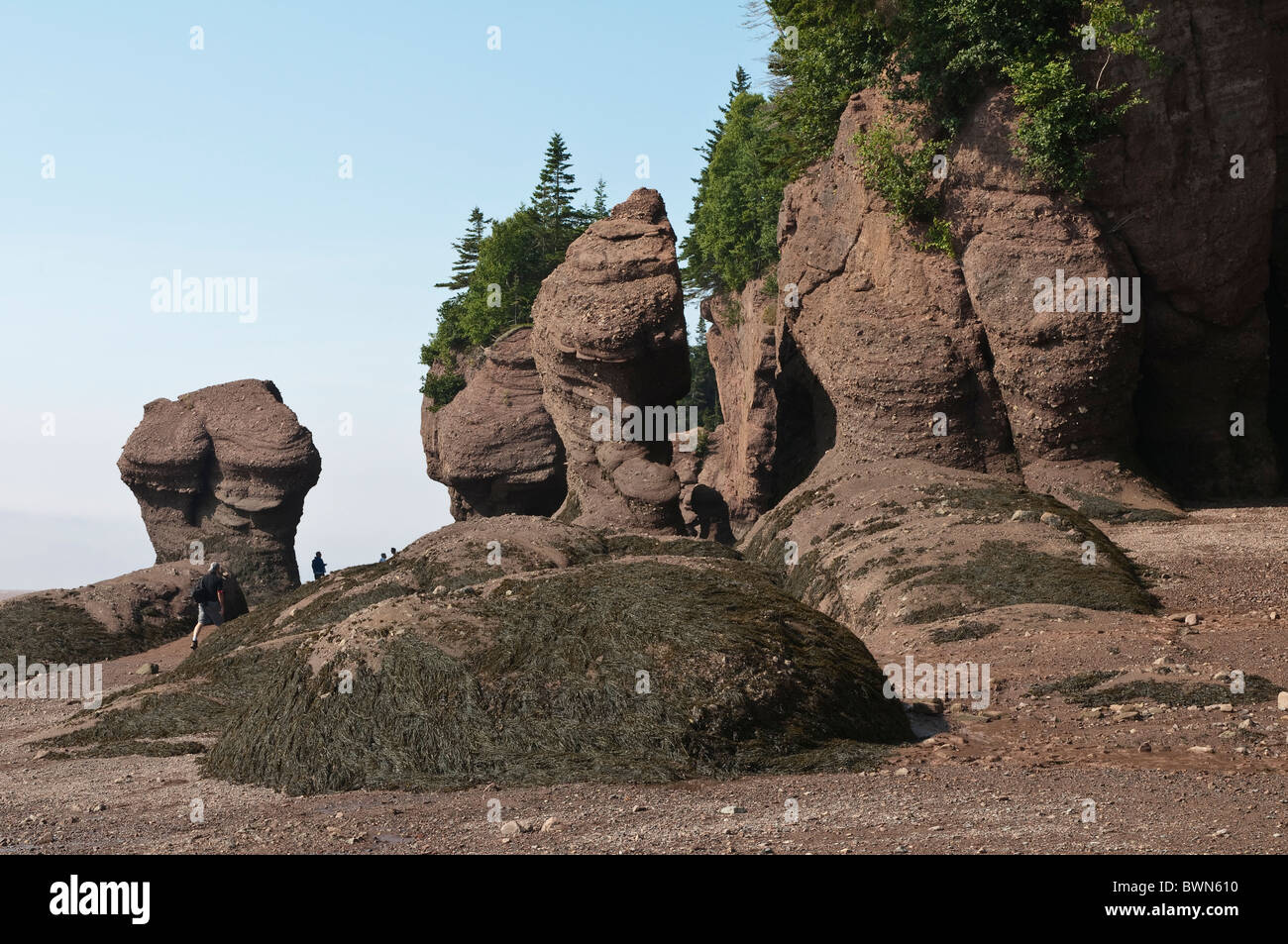 New Brunswick, Canada. Hopewell rocce e l'oceano di marea Sito di esplorazione. Foto Stock