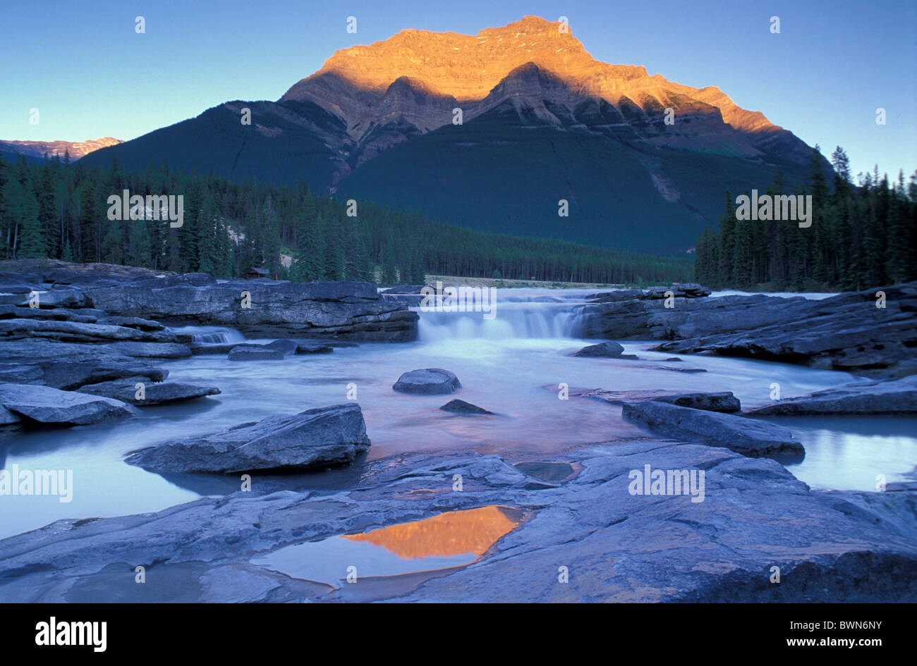 Canada America del Nord America Cascate Athabasca Jasper National Park UNESCO World Heritage Site paesaggio Rocky Foto Stock