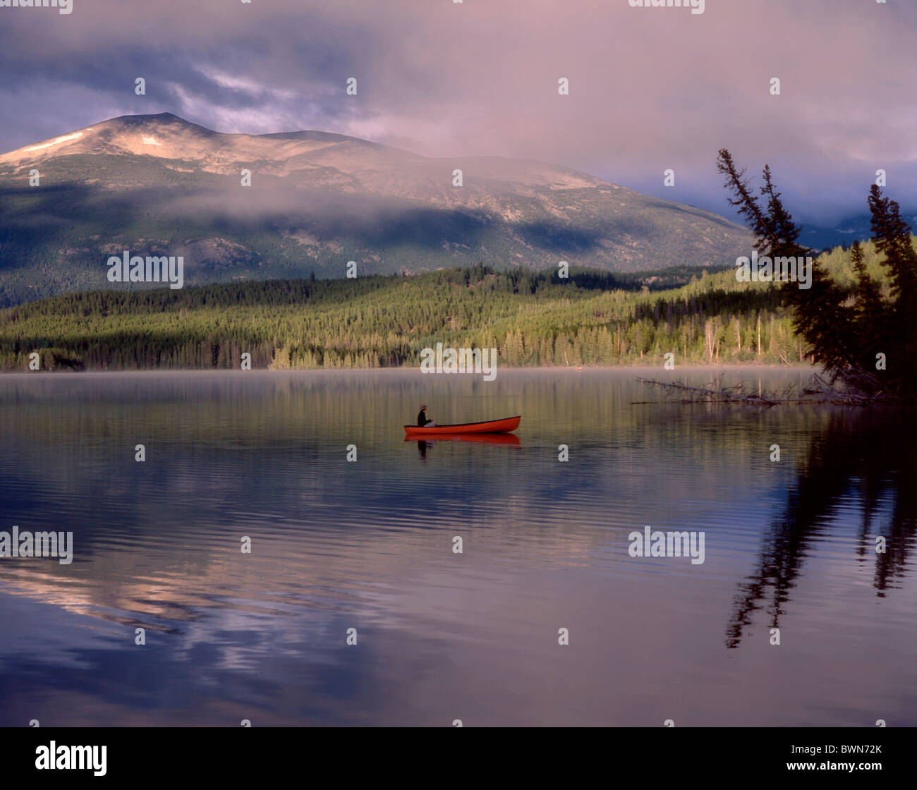 Canada America del Nord America Clearwater Chilcotin Lago Paese montagne rocciose della Columbia Britannica canoa barca wa Foto Stock