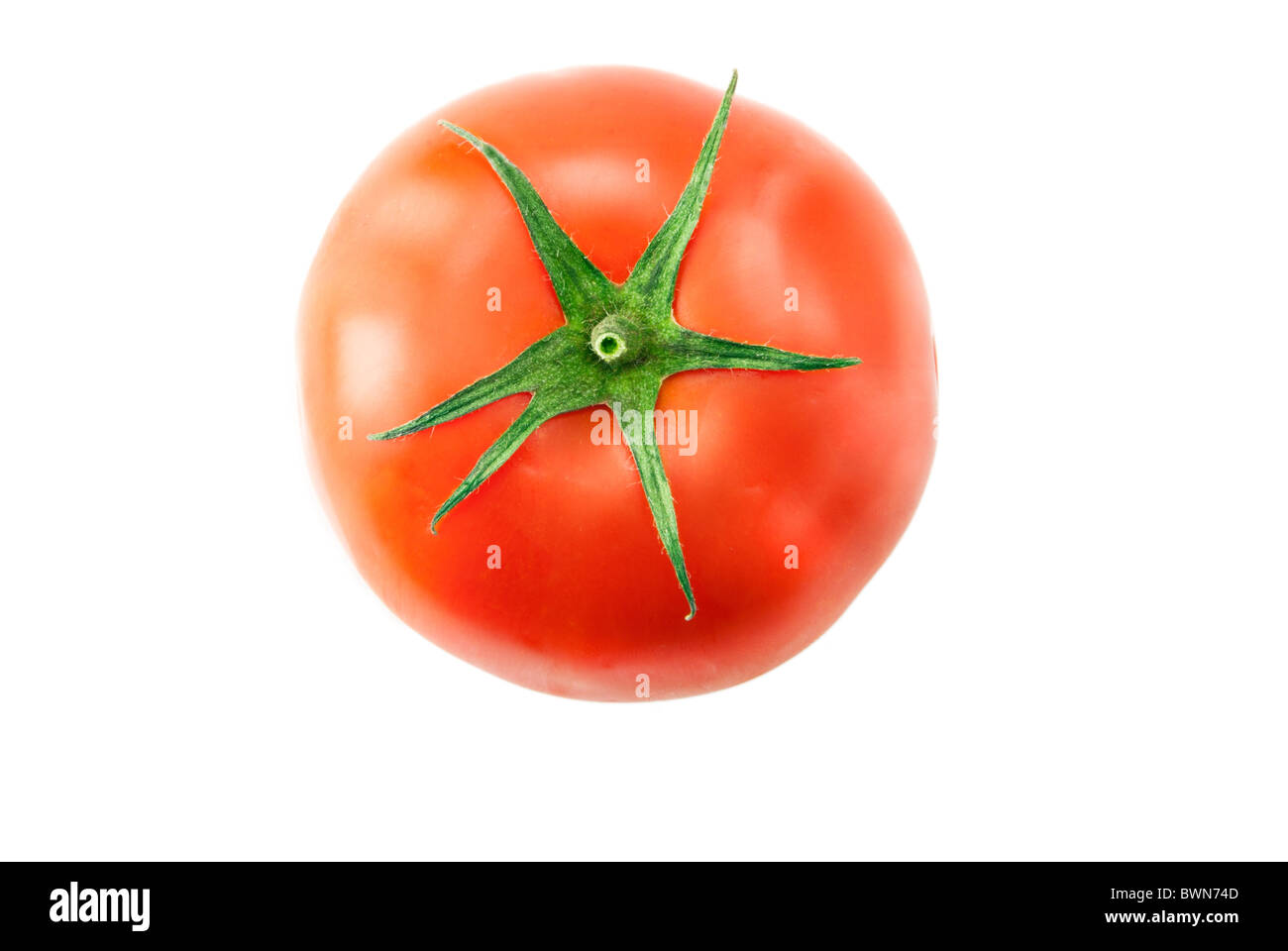Single pomodoro maturo su sfondi bianchi Foto Stock