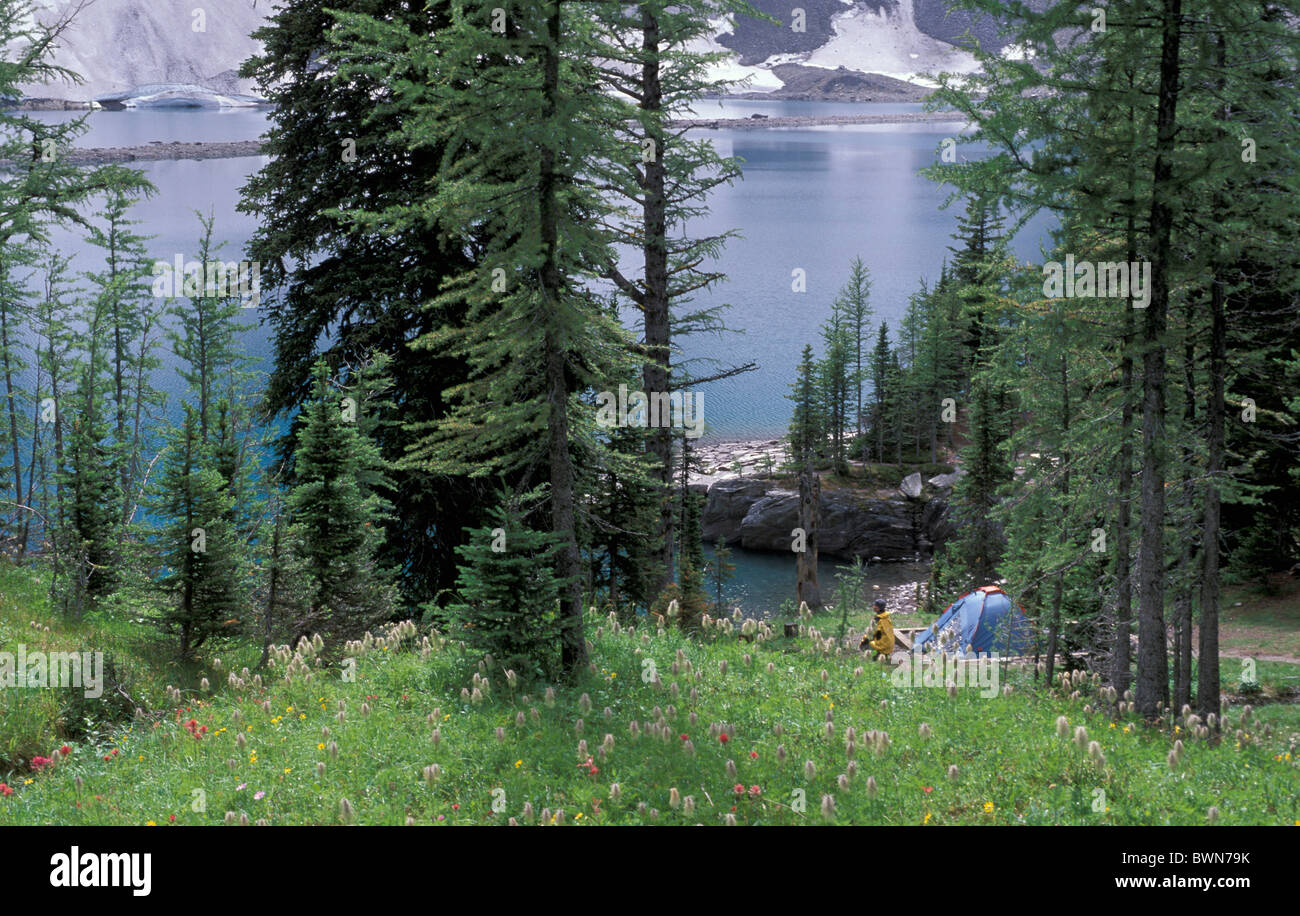 Canada America del Nord America escursionista Floe Lago Kootenay national park in British Columbia escursionismo donna backpacker Foto Stock