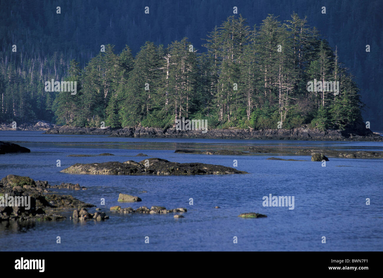 Canada America del Nord America Houston Stewart canale vicino porto Rose Queen Charlotte Islands British Columbia s Foto Stock