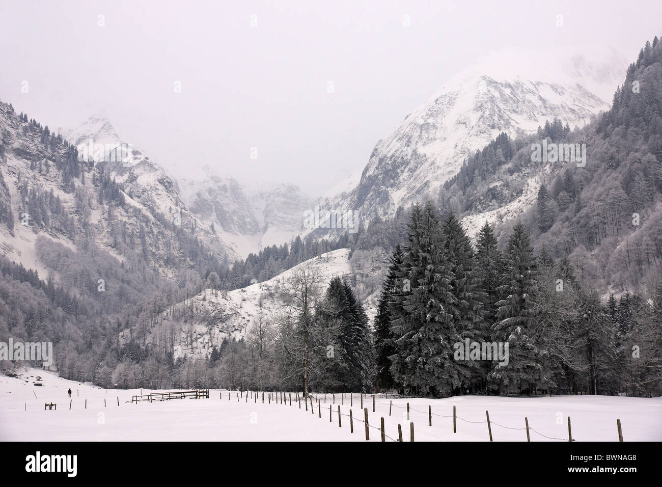 Paesaggio invernale nell'Allgaeu Alpi Germania Foto Stock