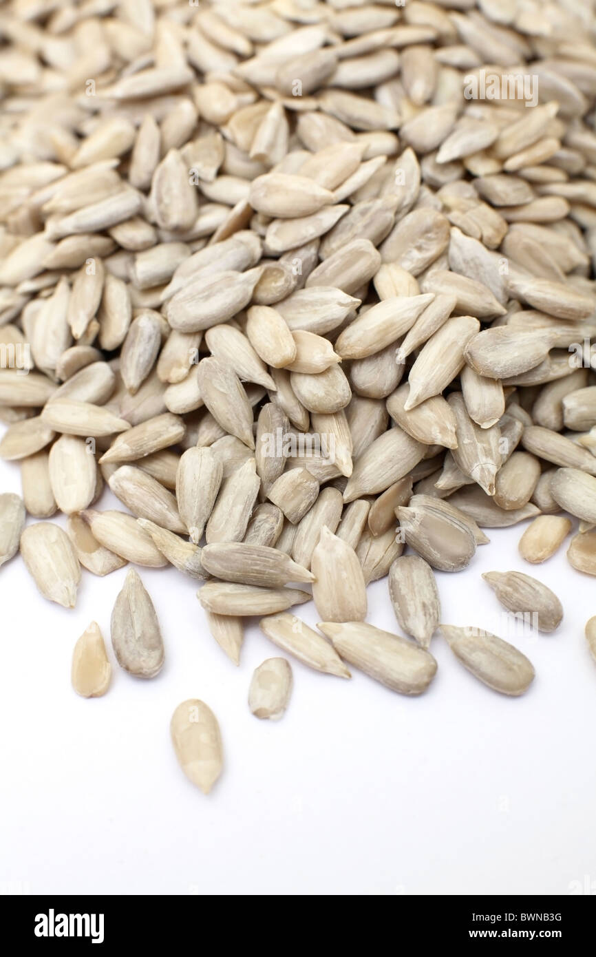 Semi di girasole - close-up contro white Foto Stock