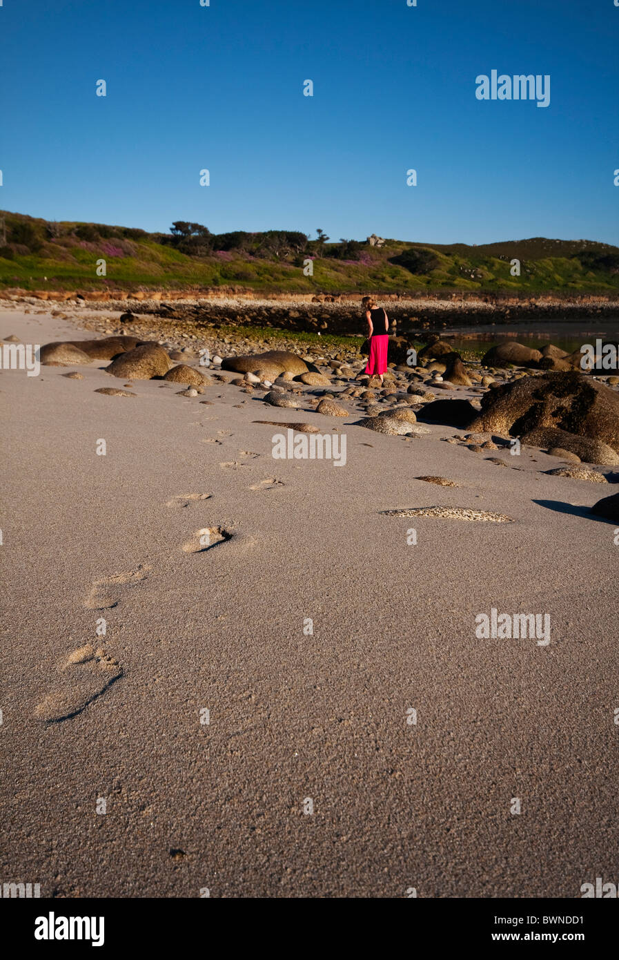 Giovane signora in Rosa gonna a esplorare una spiaggia deserta in Tresco nelle isole Scilly. Foto Stock