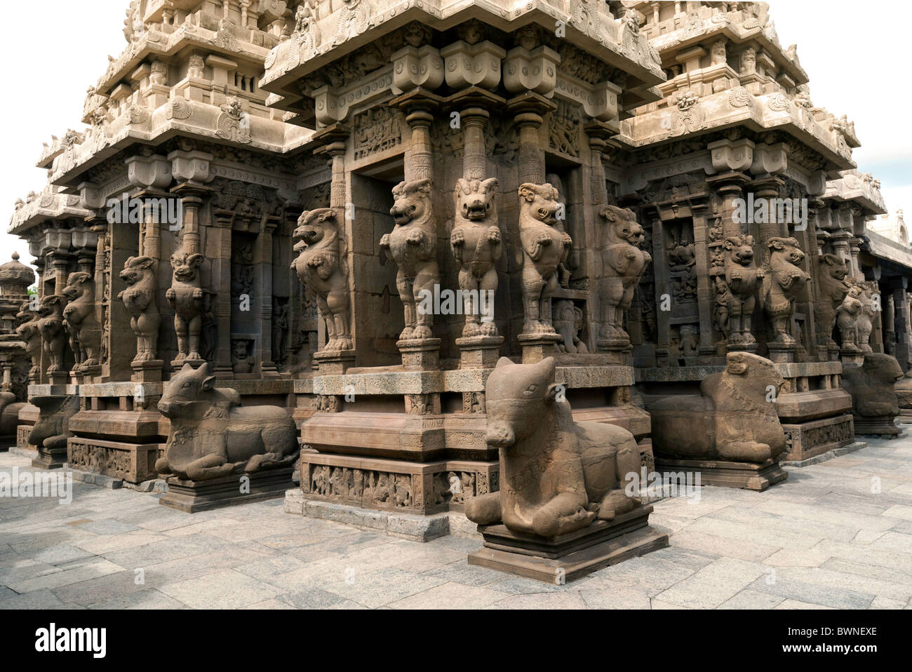 Il Kailasanatha tempio fu costruito dal Pallavas all'inizio dell'VIII secolo d.c. in Kanchipuram ;kancheepuram ,Tamil Nadu, India. Foto Stock