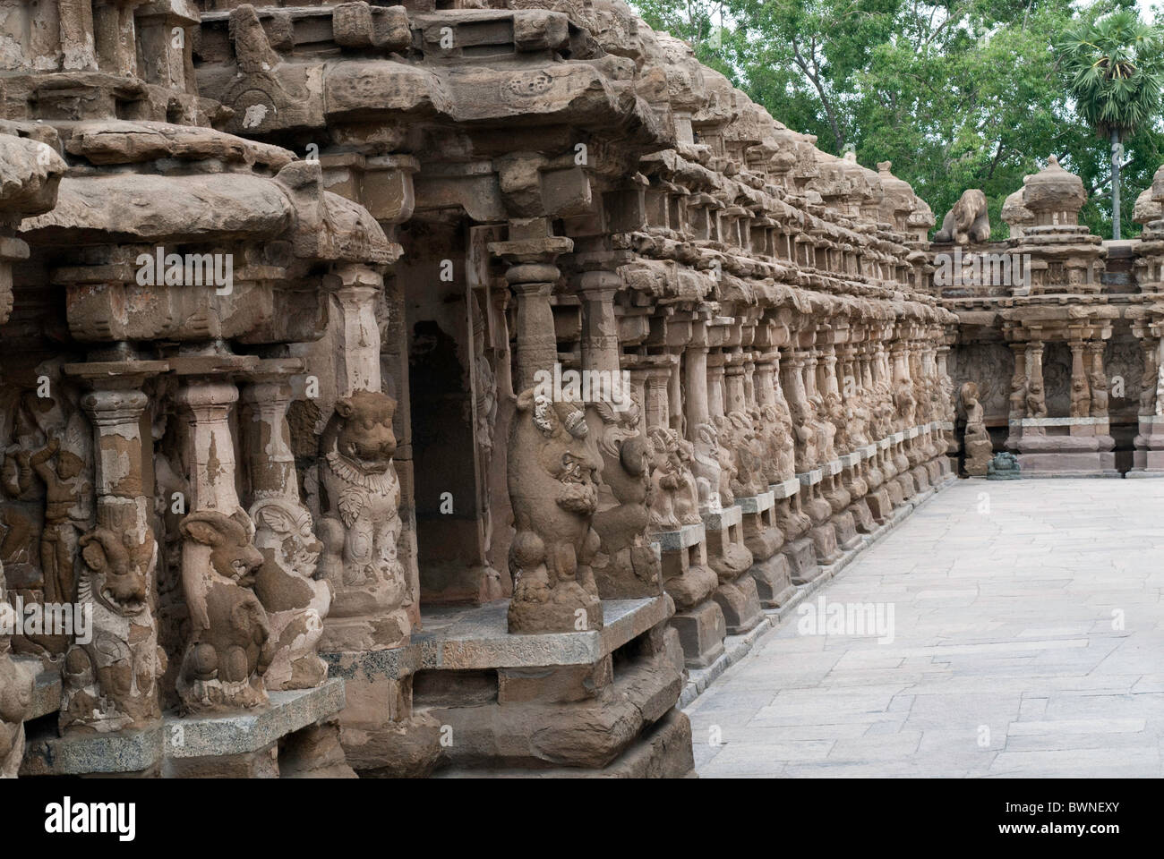Il Kailasanatha tempio fu costruito dal Pallavas all'inizio dell'VIII secolo d.c. in Kanchipuram ;kancheepuram ,Tamil Nadu, India. Foto Stock