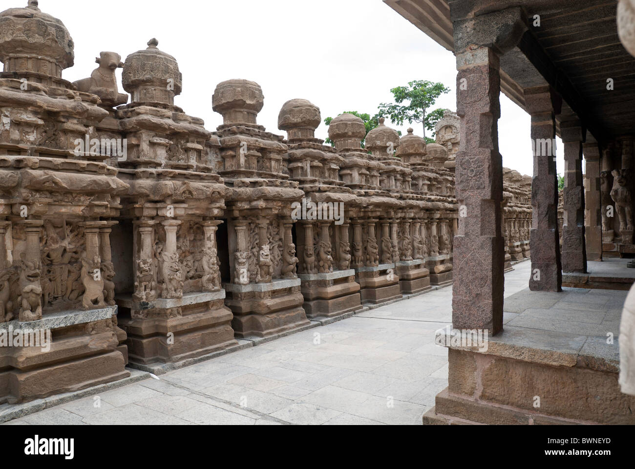 Il Kailasanatha tempio fu costruito dal Pallavas all'inizio dell'VIII secolo d.c. in Kanchipuram ;kancheepuram ,Tamil Nadu, India. Foto Stock