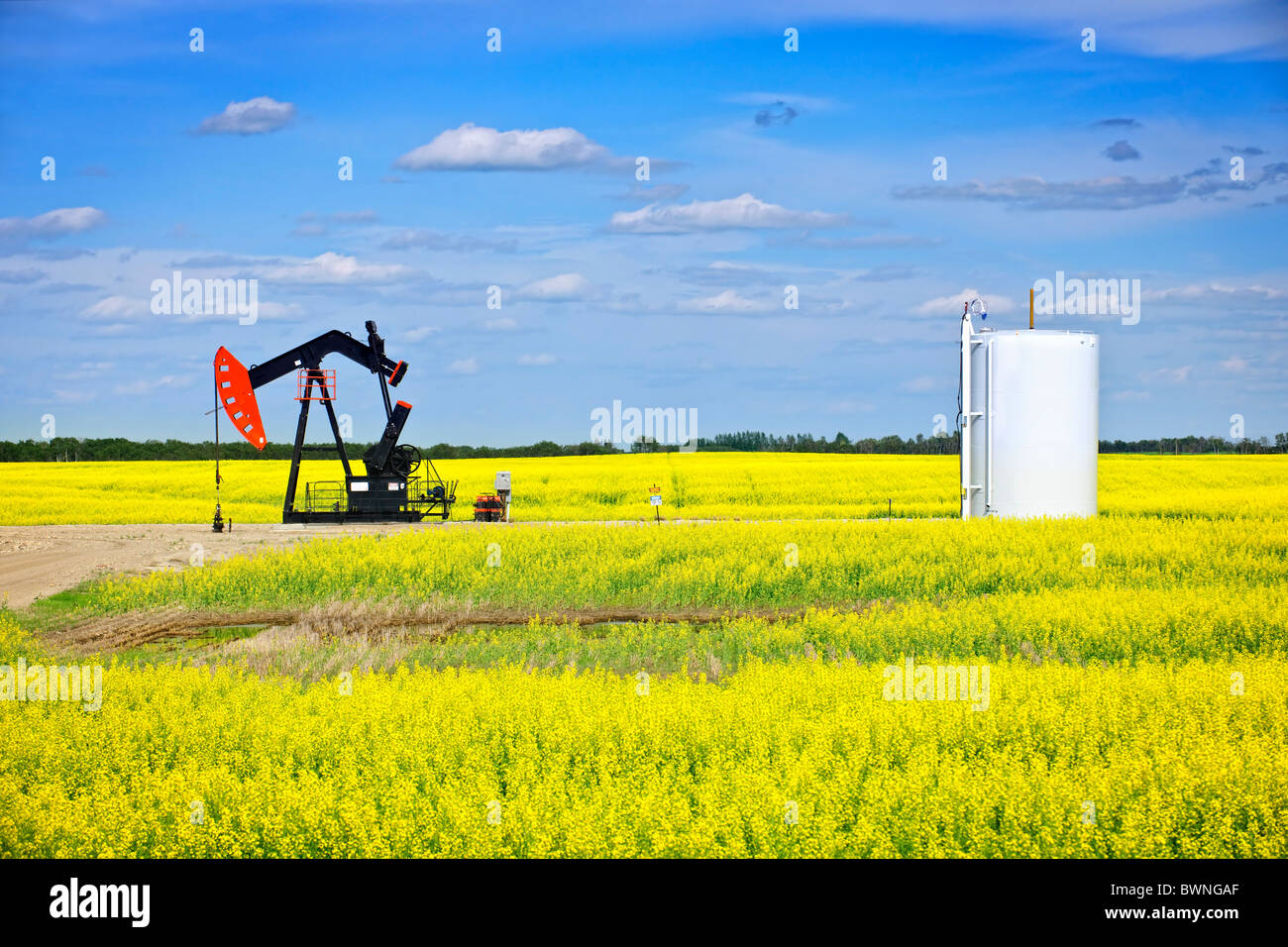 Olio o pumpjack annuendo cavallo unità di pompaggio nelle praterie di Saskatchewan, Canada Foto Stock