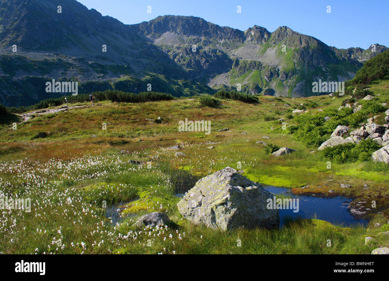 La Valle dei Cinque Laghi polacca (Dolina Pieciu Stawow) nelle montagne Tatra, Polonia Foto Stock